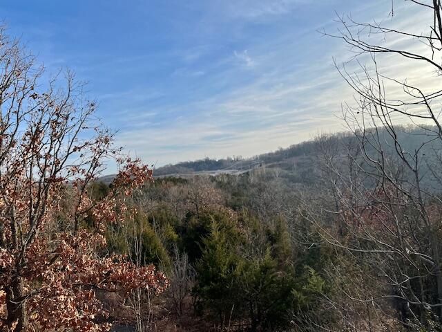 000 Historic 165 Highway, Hollister, MO 65672