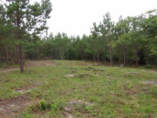 03 Summer City Road, Evensville, TN 37332