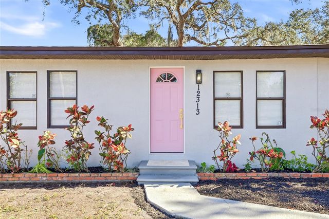 12313 TALIAFERRO AVENUE, Tampa, FL 33612