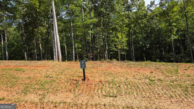 4 Springfield Parkway, Ellijay, GA 30540