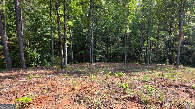 4 Springfield Parkway, Ellijay, GA 30540