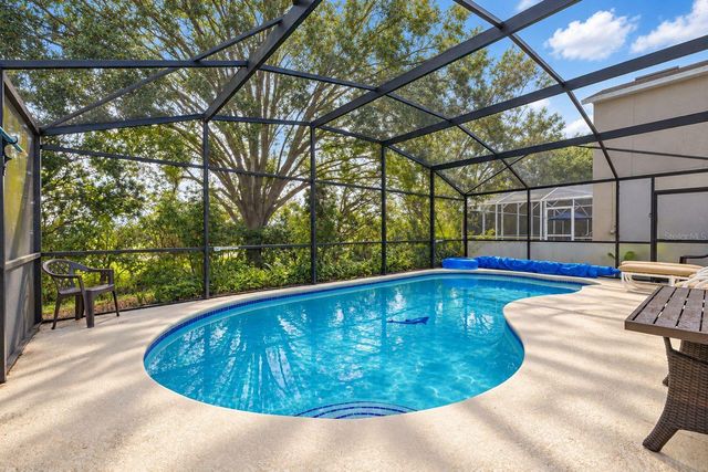 425 CASTLEMAIN CIRCLE, Davenport, FL 33897