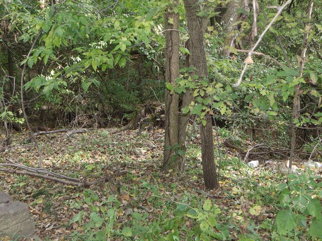 535 Golf Road, Streator, IL 61364