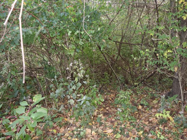 535 Golf Road, Streator, IL 61364