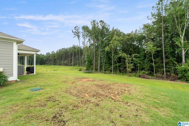 1673 MCKESIE STREET, Riverside, AL 35135