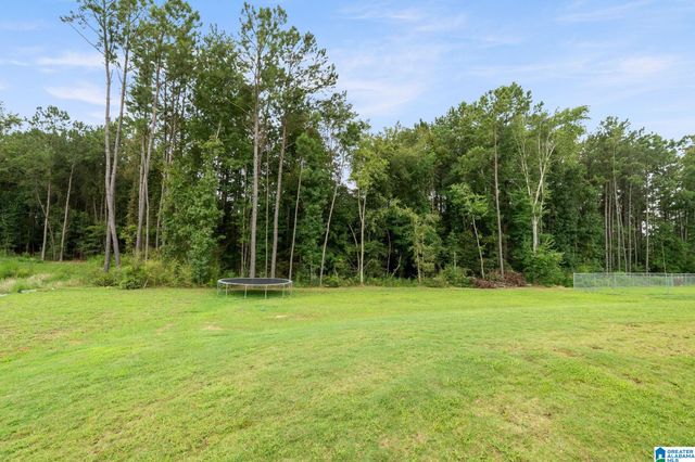 1673 MCKESIE STREET, Riverside, AL 35135