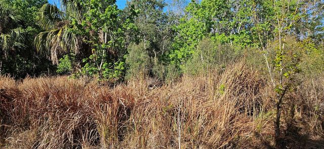 TIMBERLANE ROAD, Lake Wales, FL 33898