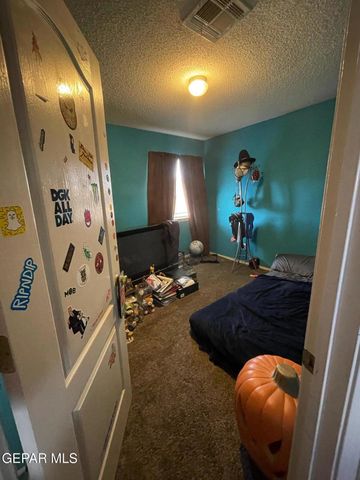 11749 MESQUITE MIEL Drive, El Paso, TX 79934