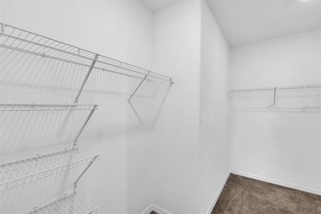 5204 WHITE CHICORY DRIVE, Apollo Beach, FL 33572