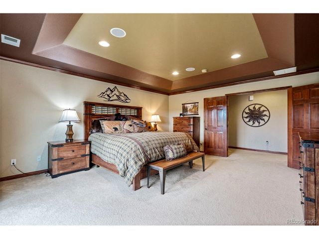 11569 S Flower Mound Way, Parker, CO 80134