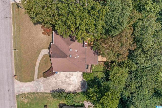 1920 SEATTLE SLEW DRIVE, Helena, AL 35080