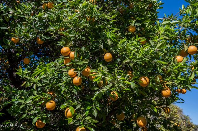 3905 E MALLORY Circle, Mesa, AZ 85215