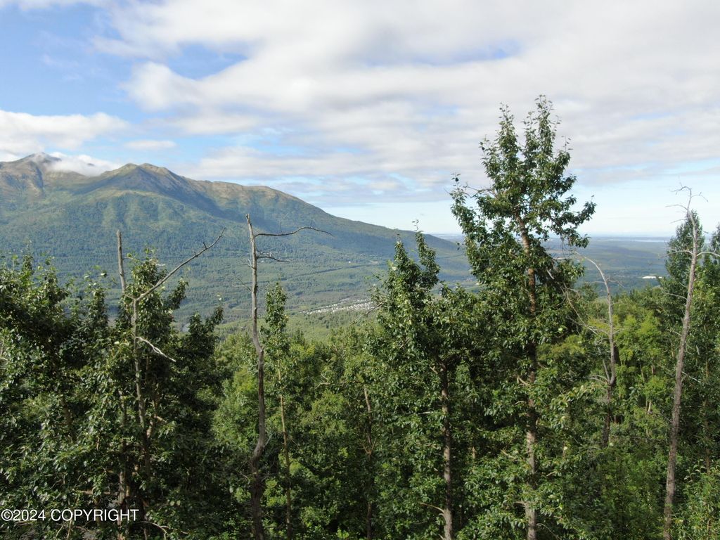 #1 Mile Hi Way, Eagle River, AK 99577