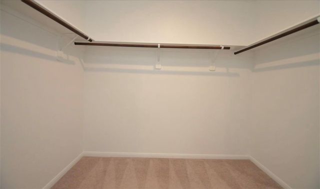 16412 Big Hickory Dr, Conroe, TX 77302