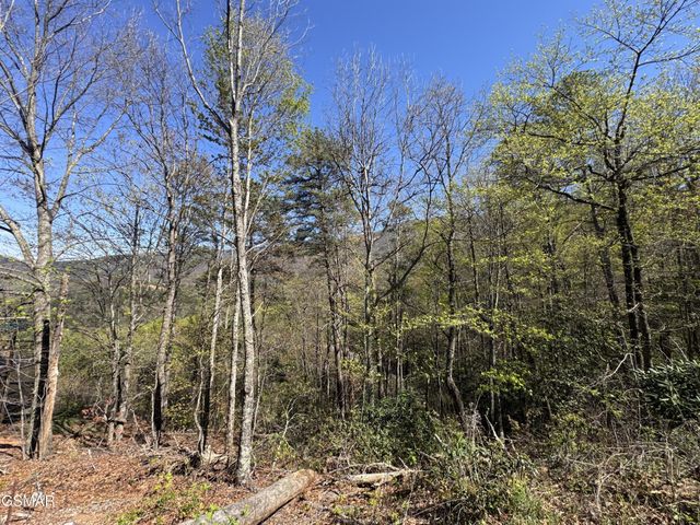 11 Perry Cir Lane, Sevierville, TN 37862