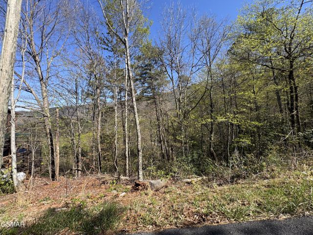 11 Perry Cir Lane, Sevierville, TN 37862