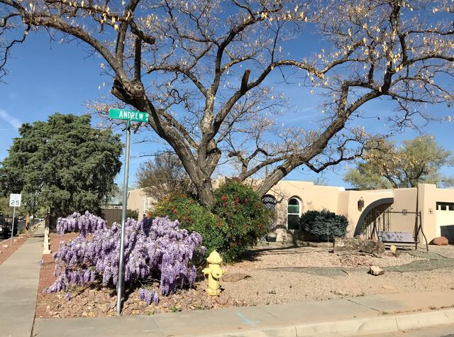 4301 Andrew Drive NE, Albuquerque, NM 87109
