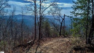 146 Glassy Falls Trail, Travelers Rest, SC 29690