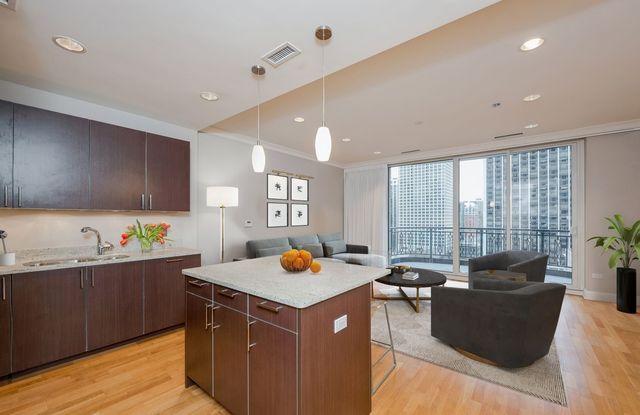 10 E Delaware Place 14A, Chicago, IL 60611