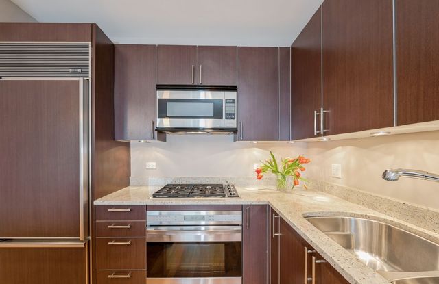 10 E Delaware Place 14A, Chicago, IL 60611