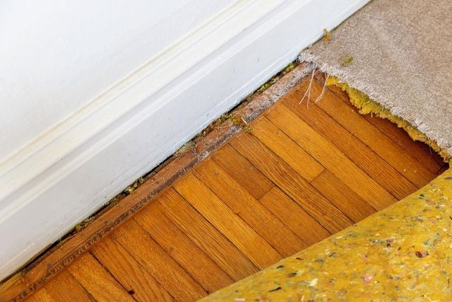 826 SELMA BLVD, Staunton, VA 24401