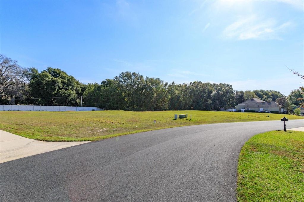 1005 MYRTLE BREEZES COURT, Fruitland Park, FL 34731