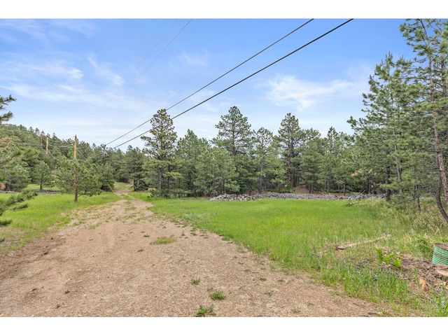 2692 Magnolia Dr, Nederland, CO 80466