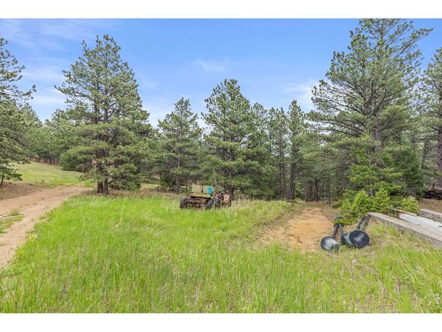 2692 Magnolia Dr, Nederland, CO 80466
