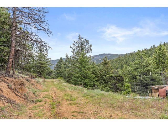 2692 Magnolia Dr, Nederland, CO 80466