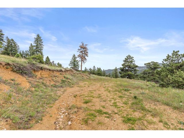 2692 Magnolia Dr, Nederland, CO 80466