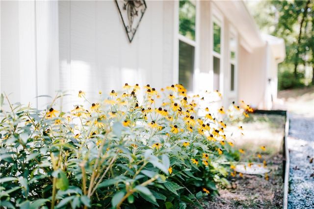 72 Terry Dee Lane, Colbert, GA 30628
