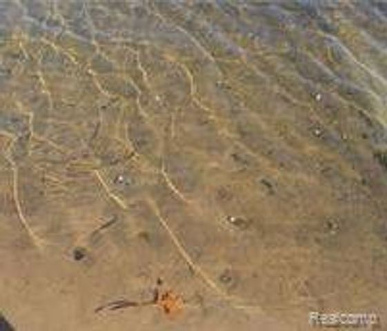 10418 KING Road, Springfield Twp, MI 48350