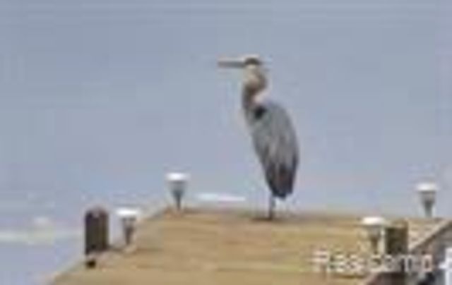 10418 KING Road, Springfield Twp, MI 48350