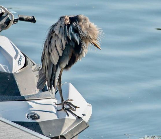 10418 KING Road, Springfield Twp, MI 48350