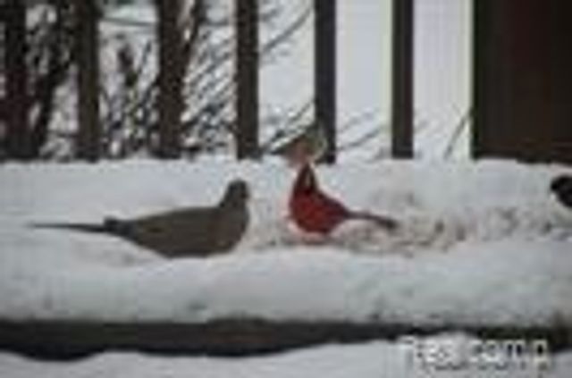 10418 KING Road, Springfield Twp, MI 48350