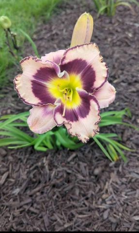 W630 Golf Course Road, Brodhead, WI 53520