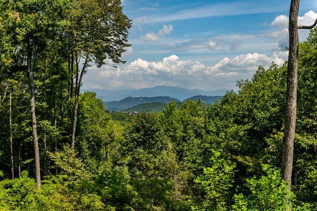 579 Overlook Circle, Young Harris, GA 30582