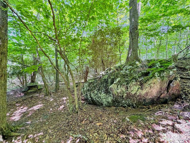 321 Grays Shadow Lane, Banner Elk, NC 28604