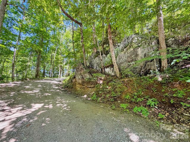 321 Grays Shadow Lane, Banner Elk, NC 28604