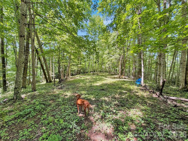 321 Grays Shadow Lane, Banner Elk, NC 28604
