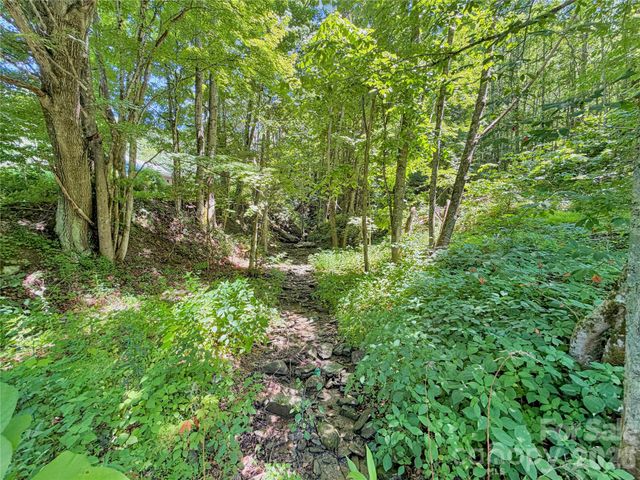 321 Grays Shadow Lane, Banner Elk, NC 28604