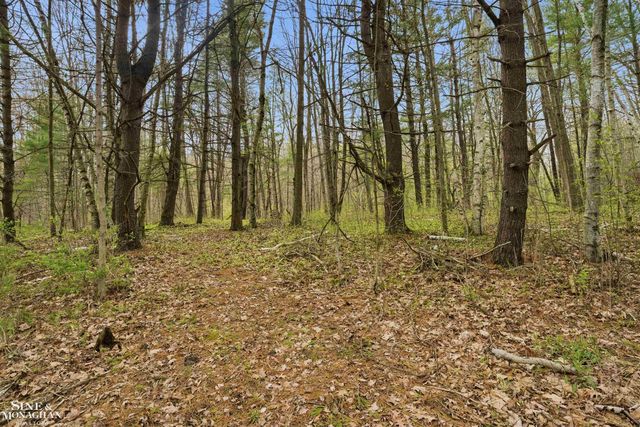 668 S Bartlett Road, St Clair, MI 48079