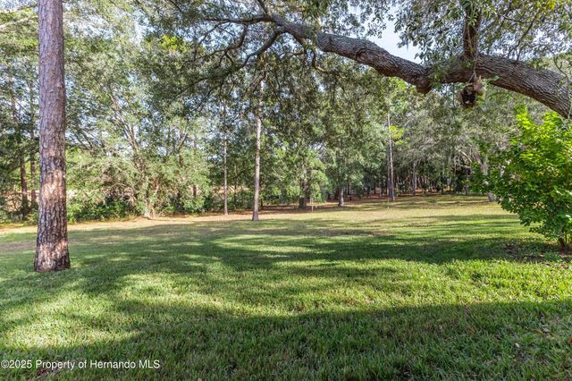 3008 Whispering Pines Court, Spring Hill, FL 34606