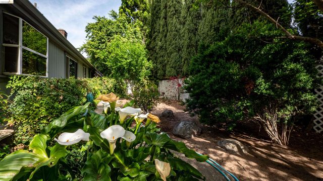 80 Cunha Ct, Oakley, CA 94561