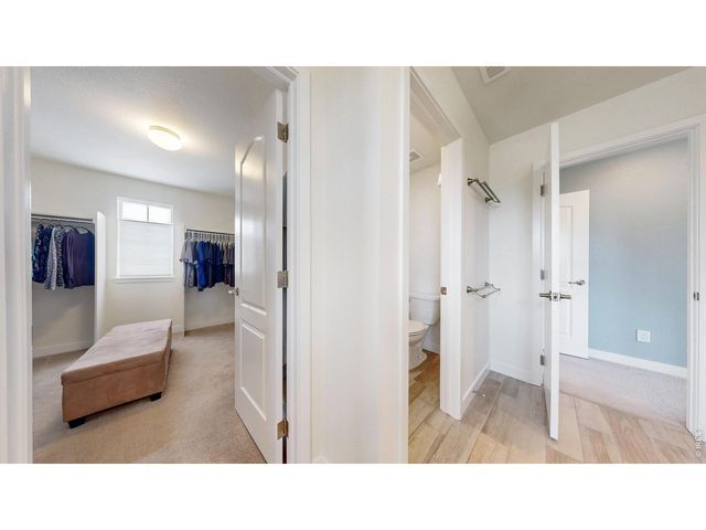2840 Fractus St, Timnath, CO 80547