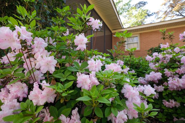 842 Calhoun Place SE, Aiken, SC 29801