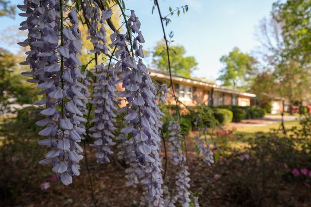 842 Calhoun Place SE, Aiken, SC 29801