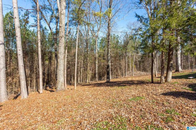 99 CEDAR HEIGHTS LANE, Talladega, AL 35160