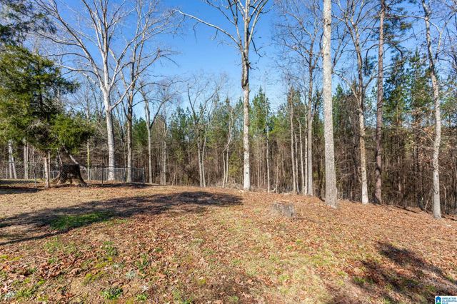 99 CEDAR HEIGHTS LANE, Talladega, AL 35160