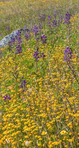 10952 Gopher Mine Trl, Grass Valley, CA 95949